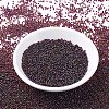 MIYUKI Round Rocailles Beads X-SEED-G007-RR0367-2