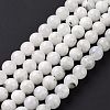 Natural Rainbow Moonstone Beads Strands G-I249-B04-03-4