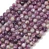 Natural Lepidolite/Purple Mica Stone Beads Strands G-G160-A01-01A-2