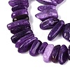 Dyed Natural Quartz Beads Strands G-Q606-24A-07-3