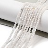 Natural Rainbow Moonstone Beads Strands G-G161-A01-01-1