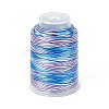 3-Ply Segment Dyed Nylon Braided Cords NWIR-F011-01I-1
