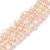 Natural Cultured Freshwater Pearl Beads Strands PEAR-P002-53D-4