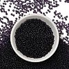 FGB 8/0 Grade A Round Glass Seed Beads SEED-Q006-3mm-F11-5