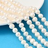 Natural Cultured Freshwater Pearl Beads Strands PEAR-P064-19J-04D-1