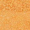 Baking Paint Glass Seed Beads SEED-L011-09A-04-3