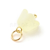 Transparent Acrylic Charms PALLOY-JF01604-01-5