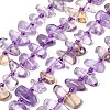Natural Ametrine Beads Strands G-L649-A09-01-2