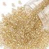 TOHO Round Seed Beads X-SEED-TR08-1816-1