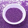 MIYUKI Delica Beads X-SEED-J020-DB0431-2
