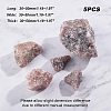 Natural Strawberry Quartz Beads G-GA0001-27-2