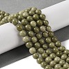 Natural Alashan Agate Beads Strands G-P530-B05-02-2