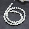 Natural White Shell Beads Strands SSHEL-P015-01A-12mm-2