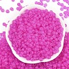 6/0 Luminous Glass Seed Beads X1-SEED-NH0001-01C-4