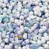 Baking Paint Glass Seed Beads X-SEED-F005-01A-09-3