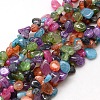 Natural Nuggets Crackle Agate Beads Strands G-P032-06-1
