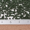MIYUKI Delica Beads SEED-MY11-DB2291-4