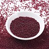 MIYUKI Round Rocailles Beads SEED-G007-RR0315-2