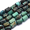 Natural Turquoise Beads Strands G-O170-47B-1