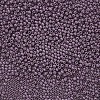 12/0 FGB Grade A Round Glass Seed Beads SEED-N001-A-1048-2