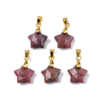 Natural Rhodonite Charms G-N326-142-05-1