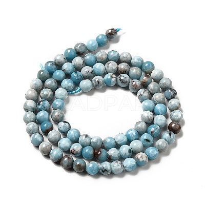 Natural Gemstone Beads Strands G-F730-02A-1