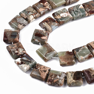 Natural Aqua Terra Jasper Beads Strands G-S366-018B-1