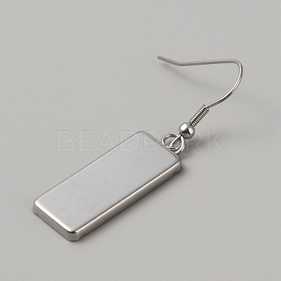 304 Stainless Steel Earring Hooks FIND-WH0422-29P-1