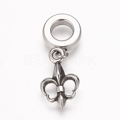 304 Stainless Steel European Dangle Charms X-OPDL-K001-08AS-1