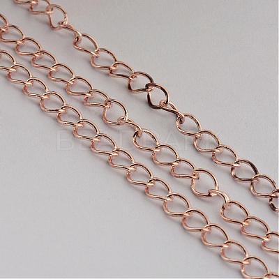 Iron Twisted Chains CH-0.8DK-RG-1