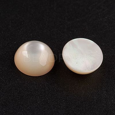 Natural White Shell Mother of Pearl Shell Cabochons SSHEL-G014-13-1