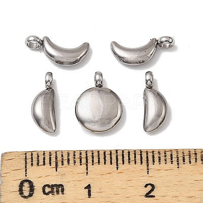 5Pcs 304 Stainless Steel Charms STAS-M017-14P-1