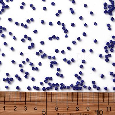 Glass Seed Beads SEED-A010-3mm-48-1