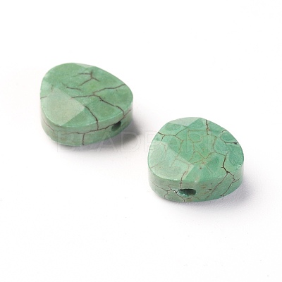 Natural Magnesite Beads TURQ-L031-015-1