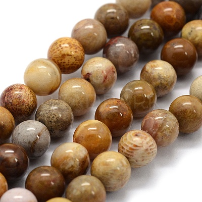 Natural Fossil Coral Beads Strands G-G763-12-4mm-1