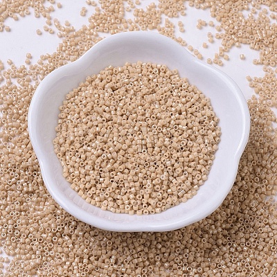 MIYUKI Delica Beads X-SEED-J020-DB0208-1