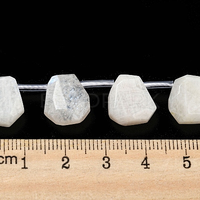 Natural Rainbow Moonstone Beads Strands G-Z040-A06-01-1
