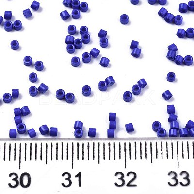 FGB 11/0 Grade A Glass Seed Beads SEED-S030-1024-1