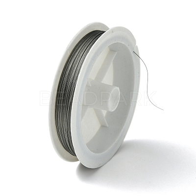 1 Roll Beading Wirer X-TWIR-70R0.35MM-1-1