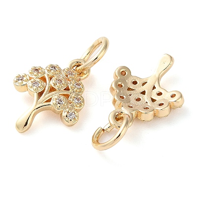 Rack Plating Brass Micro Pave Clear Cubic Zirconia Charms KK-D097-05G-1