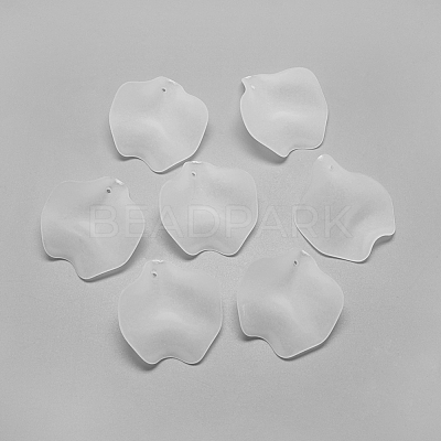 Transparent Acrylic Pendants X-FACR-S031-26mm-SB518-1