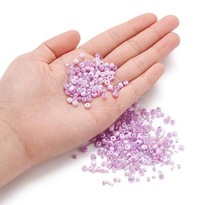 Glass Seed Beads X-SEED-S059-009-1