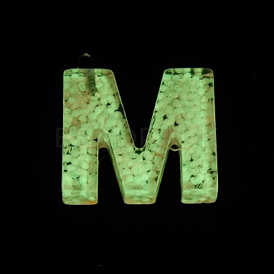 Luminous Resin Pendants RESI-I059-M01-1