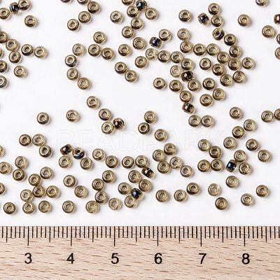 MIYUKI Round Rocailles Beads X-SEED-G008-RR0380-1