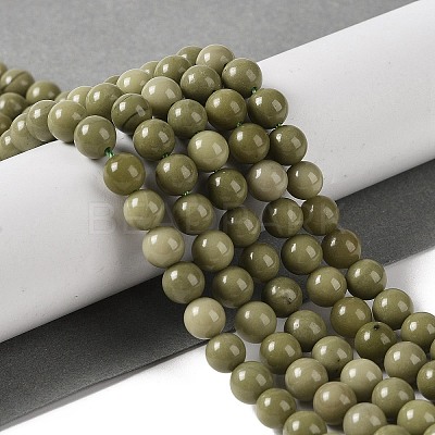 Natural Alashan Agate Beads Strands G-P530-B05-02-1