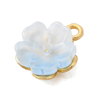 Alloy Glass Charms FIND-C079-05G-04-1