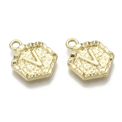 Alloy Pendants PALLOY-N157-003V-NR-1