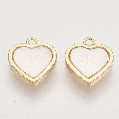 Shell Charms KK-T054-30G-NF-1