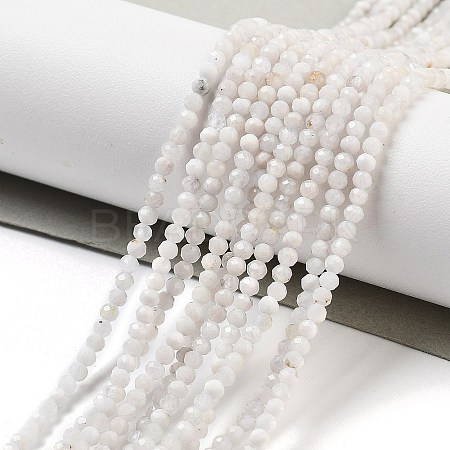 Natural Rainbow Moonstone Beads Strands G-G161-A01-01-1
