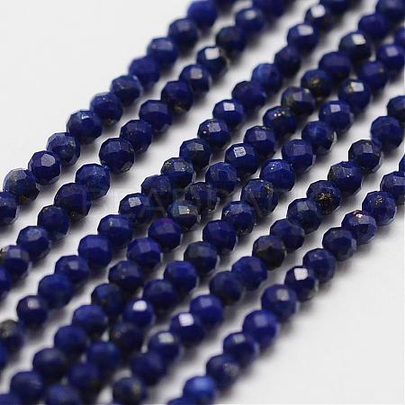 Natural Lapis Lazuli Bead Strands G-P270-2mm-19-1